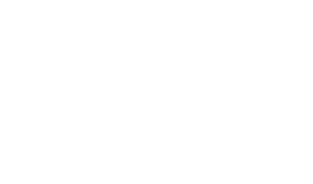 Bingo Las Vegas